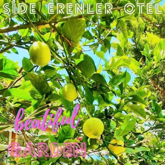 Side Erenler Hotel Eksteriør bilde