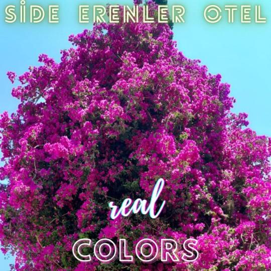 Side Erenler Hotel Eksteriør bilde